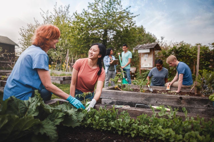 Volunteers at community garden
